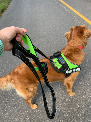The Best Dog Leash for Your Dog- Paw Five SWIFT-2 Leash