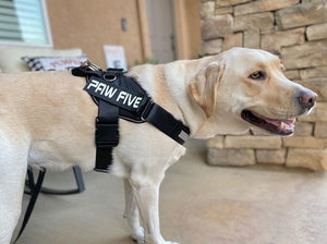 Service Dog Harness | CORE-1 Harness Service Vest for Service Dogs - Paw Five