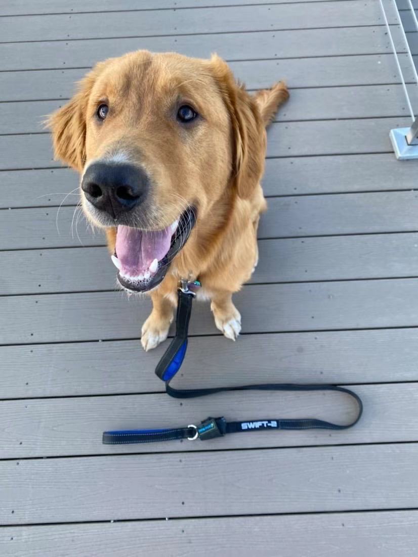 The Best Dog Leash - Paw Five SWIFT-2 Dog Leash