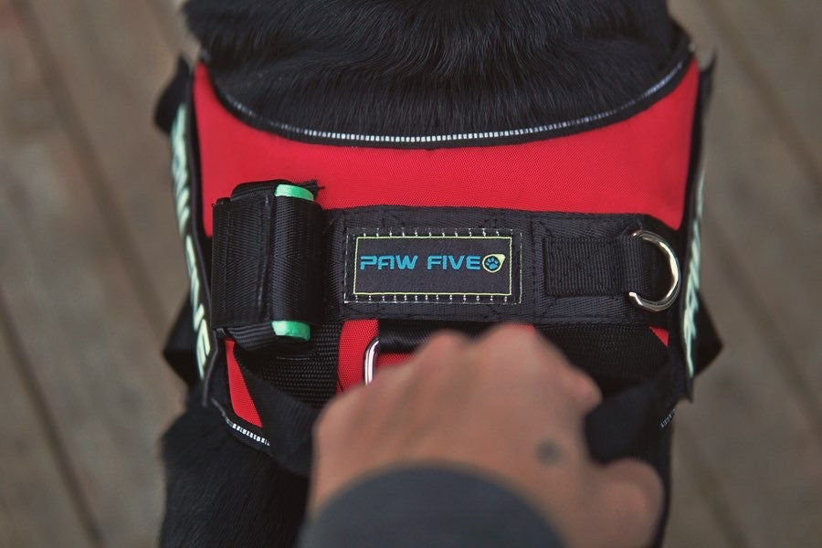 How Does An Easy Walk Harness Help Your Dog?