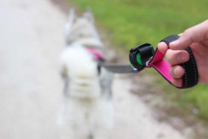 How to Choose a Dog Leash?