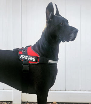 Heavy Duty Dog Harness- Paw Five CORE-1 Harness