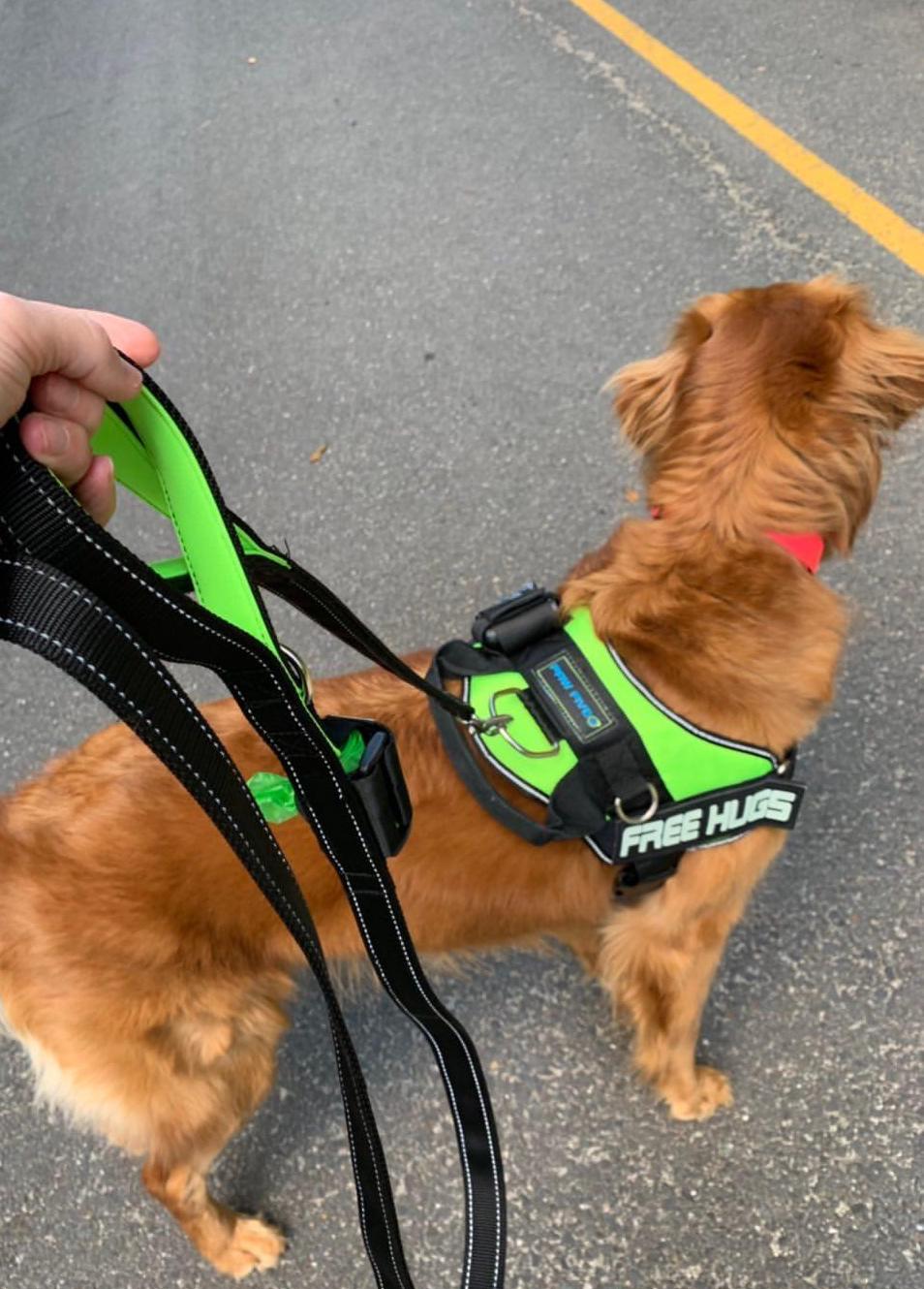 Features of the BEST Dog Leashes