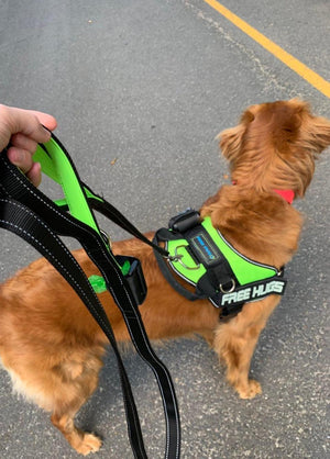 Features of the BEST Dog Leashes