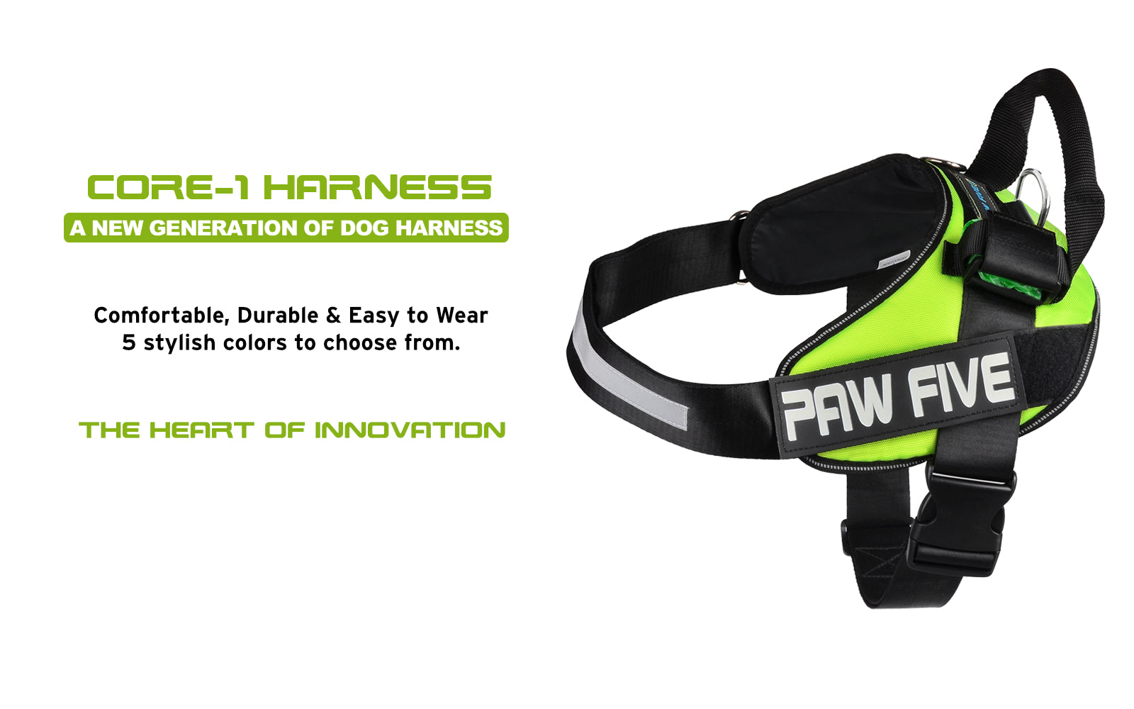 Paw Five: Building the Best Pet Supplies That Owners Trust