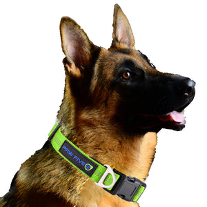 The Best Dog Training Collar - Paw Five Orbit™ Collar