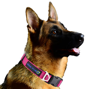 Training Dog Collar - Paw Five Orbit™ Collar