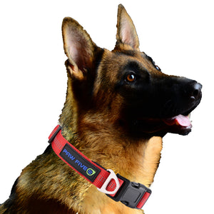 The Ultimate Dog Collar - Paw Five Orbit™ Collar