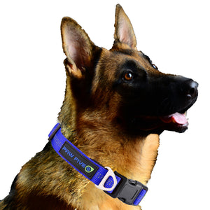 The Ultimate Dog Collar - Paw Five Orbit™ Collar