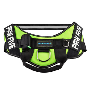 paw five core-1 harness leaf green angle 1