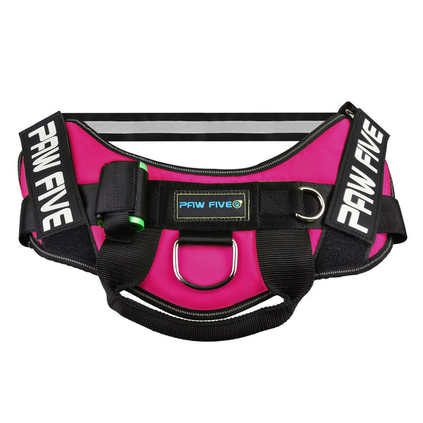 No Pull Harness - Paw Five CORE-1 Harness