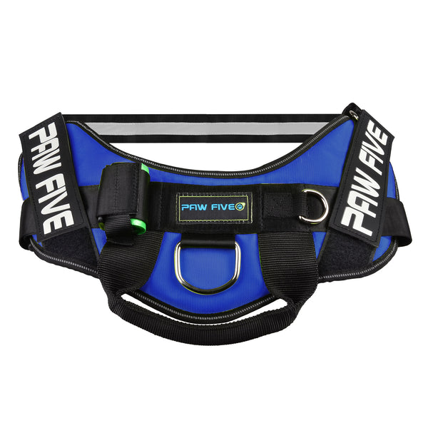 paw five core-1 harness sky blue angle 1