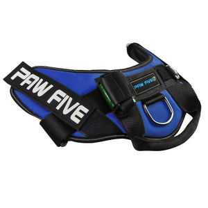 paw five core-1 harness sky blue angle 2