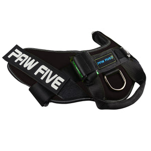 No Pull Harness - Paw Five CORE-1 Harness