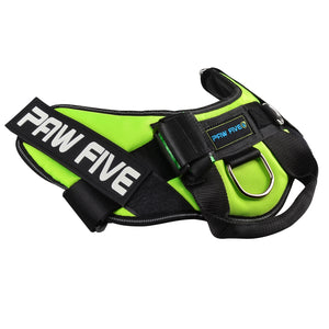 paw five core-1 harness leaf green angle 2
