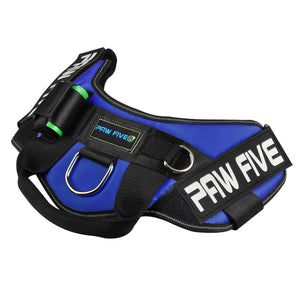paw five core-1 harness sky blue angle 3