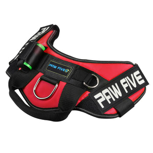 paw five core-1 harnesslava red angle 3