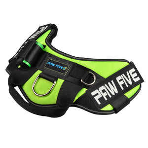 paw five core-1 harness leaf green angle 3