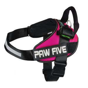 The Best Dog Harness - Paw Five CORE-1 Harness