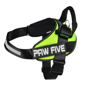 paw five core-1 harness leaf green angle 4