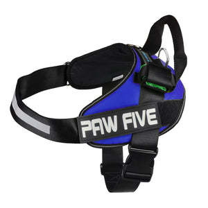 paw five core-1 harness sky blue angle 4