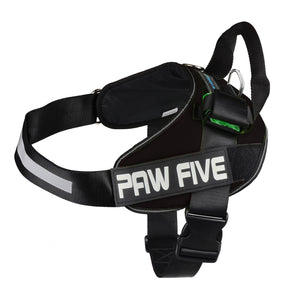 No Pull Harness - Paw Five CORE-1 Harness