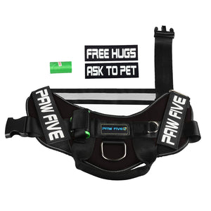 Easy Walk No-Pull Dog Harness - Paw Five CORE-1 Harness™