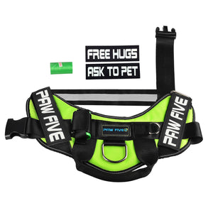 paw five core-1 harness leaf green patches