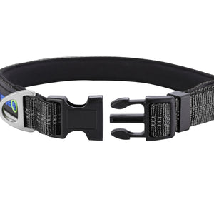 The Ultimate Dog Collar - Paw Five Orbit™ Collar