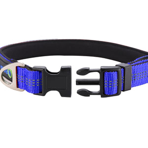 The Best Dog Training Collar - Paw Five Orbit™ Collar