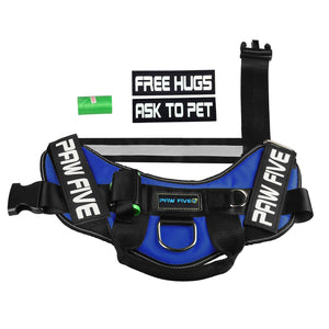 paw five core-1 harness sky blue patches