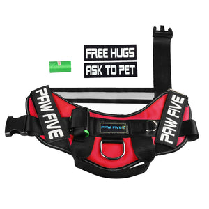 No Pull Harness - Paw Five CORE-1 Harness