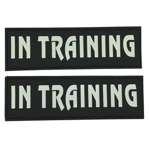 IN TRAINING Velcro Patch (Glow in the Dark)