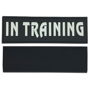 IN TRAINING Velcro Patch (Glow in the Dark)