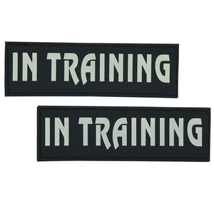 IN TRAINING Velcro Patch (Glow in the Dark)