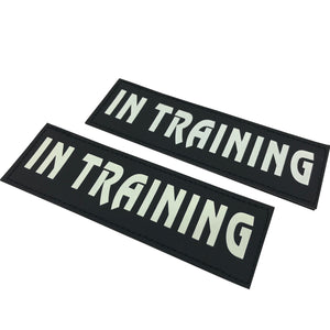 IN TRAINING Velcro Patch (Glow in the Dark)