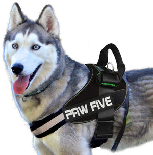 Easy Walk No-Pull Dog Harness - Paw Five CORE-1 Harness™