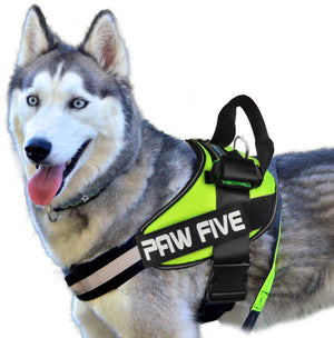 The Best Dog Harness - Paw Five CORE-1 Harness