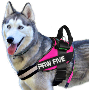 Easy Walk No-Pull Dog Harness - Paw Five CORE-1 Harness™