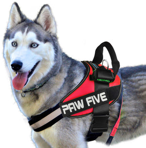 No Pull Harness - Paw Five CORE-1 Harness